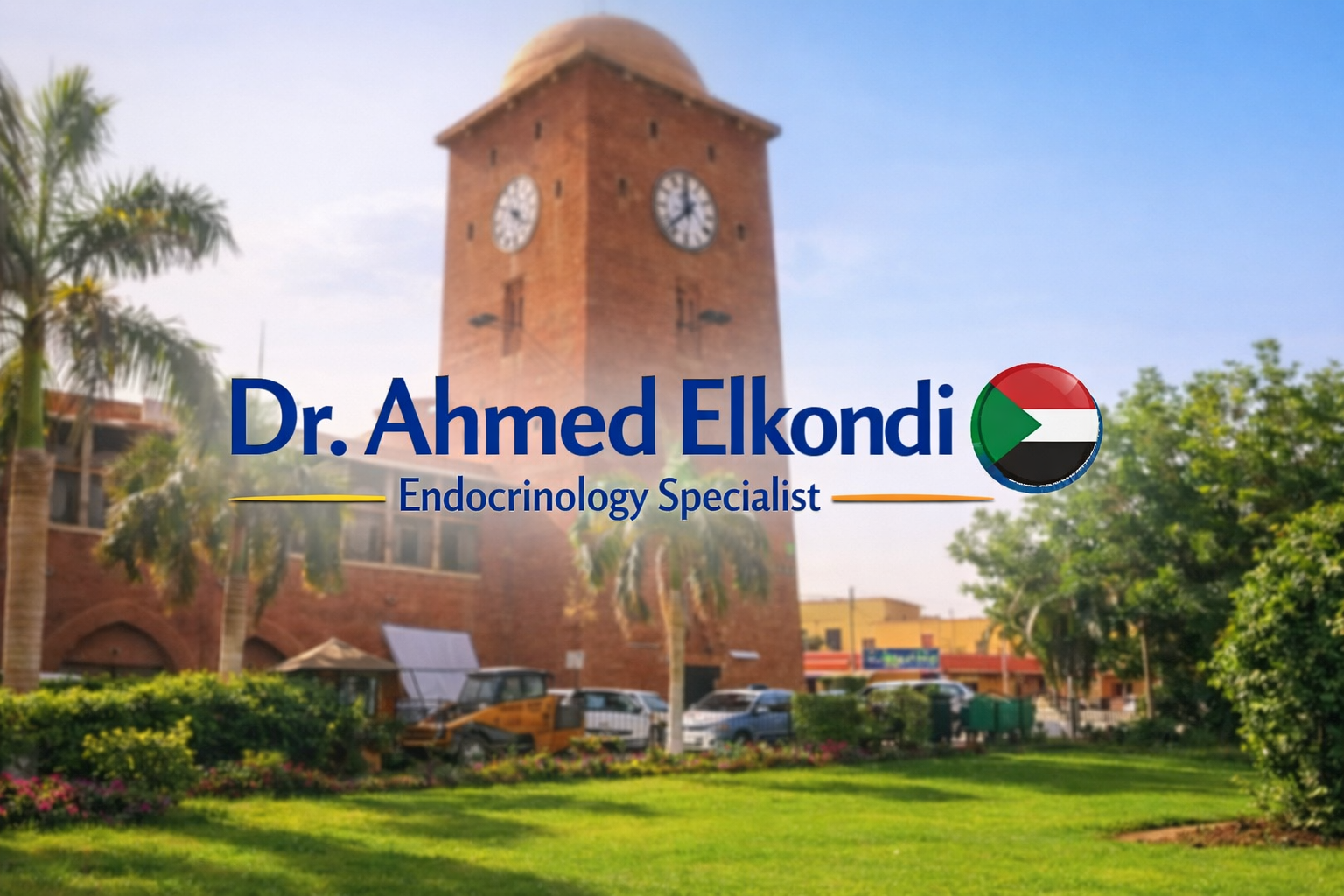 Ahmed Elkondi Medical Platform